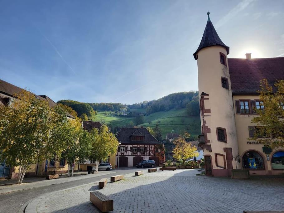 Appartamento Au Coeur Du Val D'Argent Duplex Atypique A Sainte-Marie-Aux-Mines Esterno foto